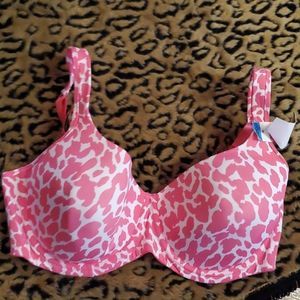 Modern bra